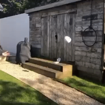 Ram Rugby Solo Skills Ball half rugby ball with flat end for passing practice and solo training against walls